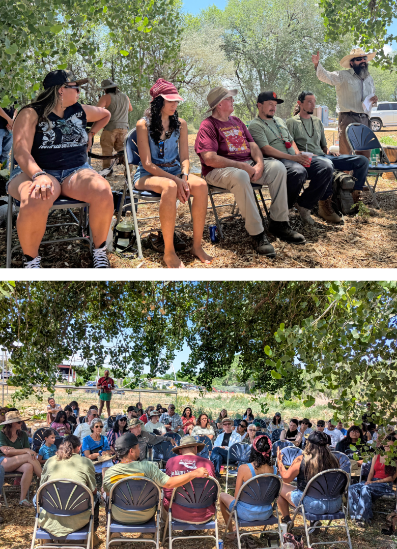 Community members gather beneath the cottonwood trees for an outdoor panel discussion on agriculture, water, and environmental stewardship during the Northern New Mexico Garlic Festival.